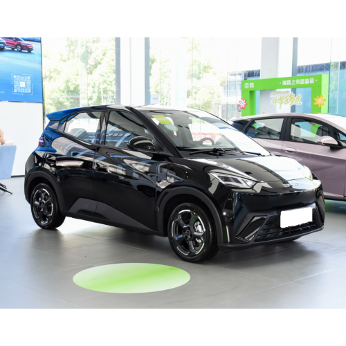 2023 New car Cheapest SUV Pure Electric Vehicle Ev car BYD Seagull for sale